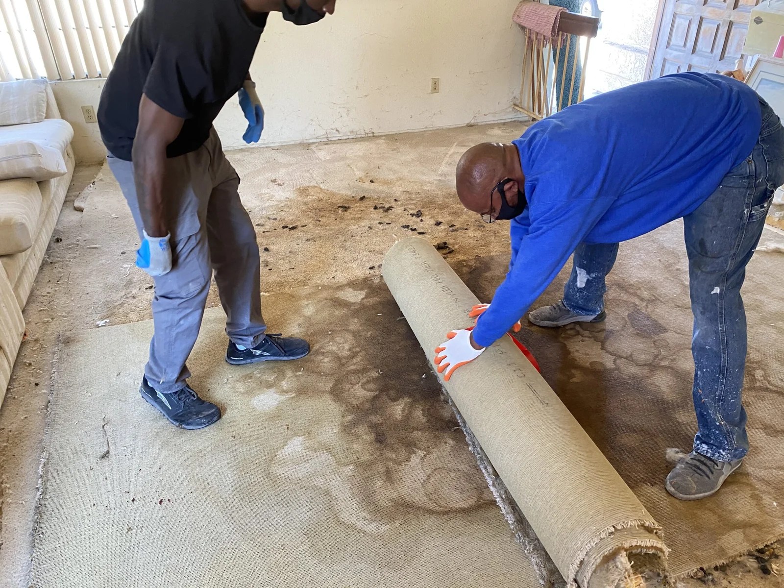 Cat, Dog & Pet Urine Odor Removal Cement, Drywall & Subfloor