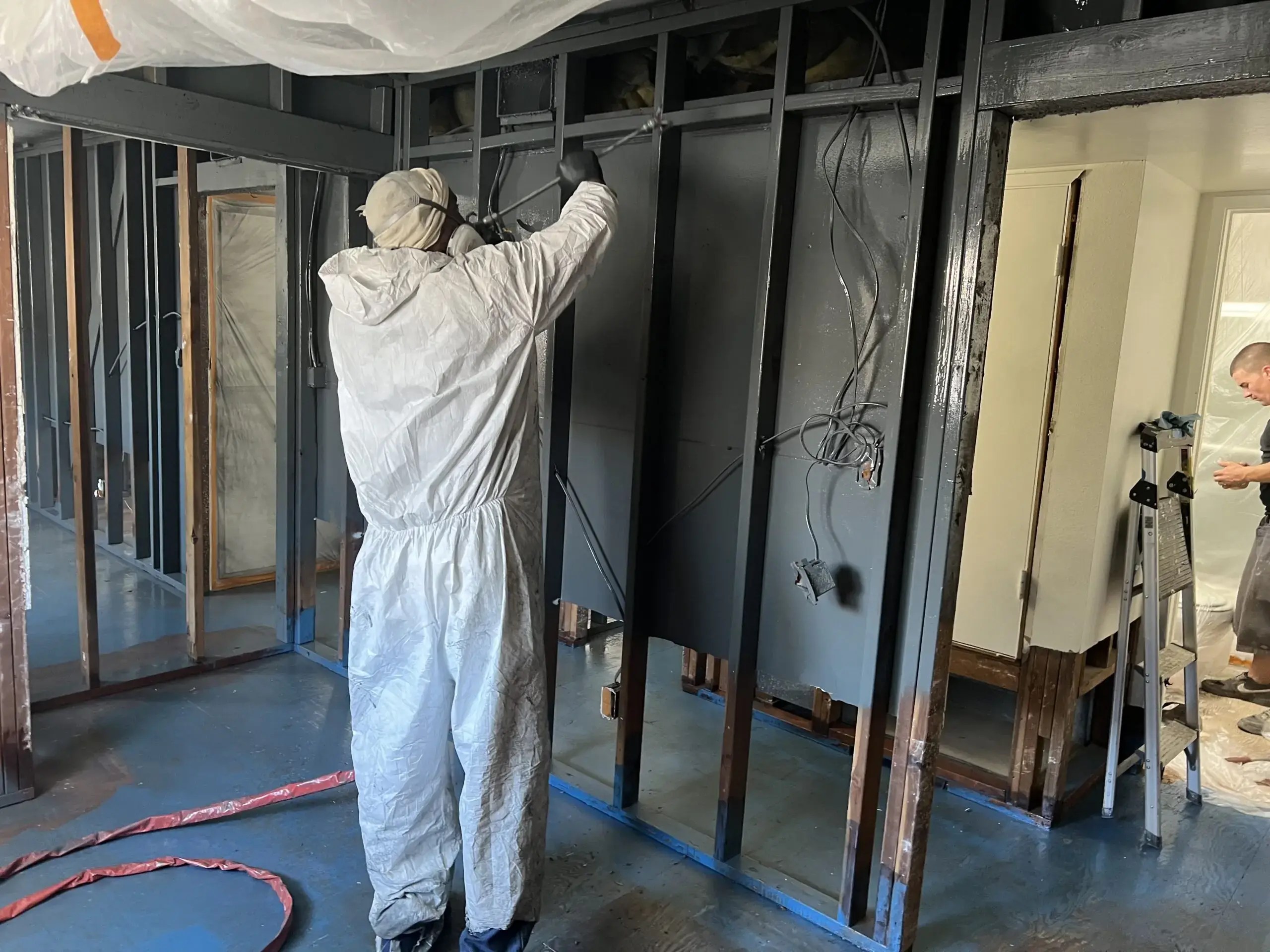 Professional Pet Odor Removal Dog & Cat Urine Odor Removal Service