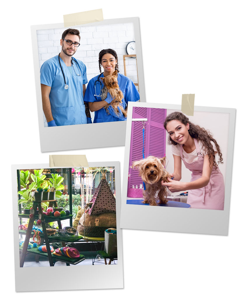 Specialty Pet Products About Us