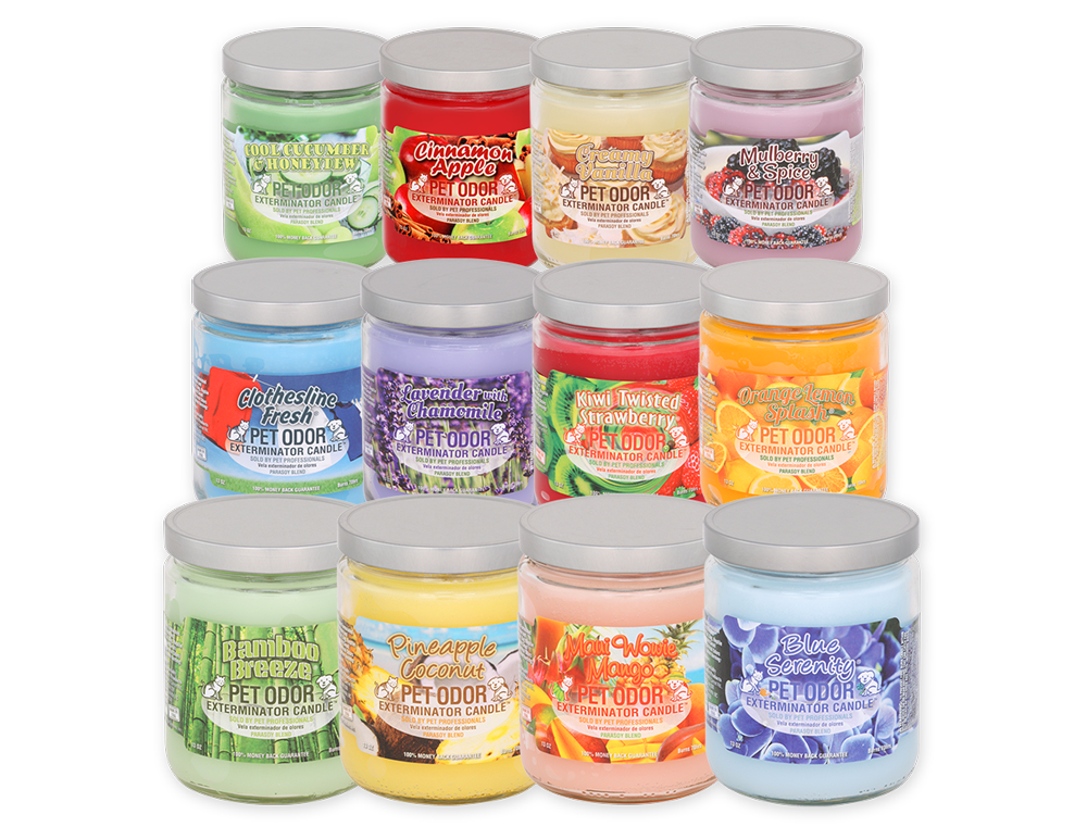 Specialty Pet Products Orange Lemon Splash Jar Candle