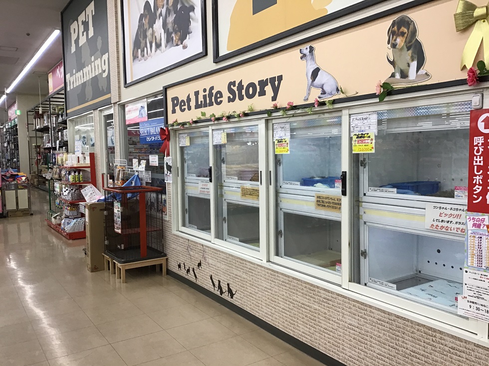 サンペット弘前安原店｜ペット検索｜ペット大好き！