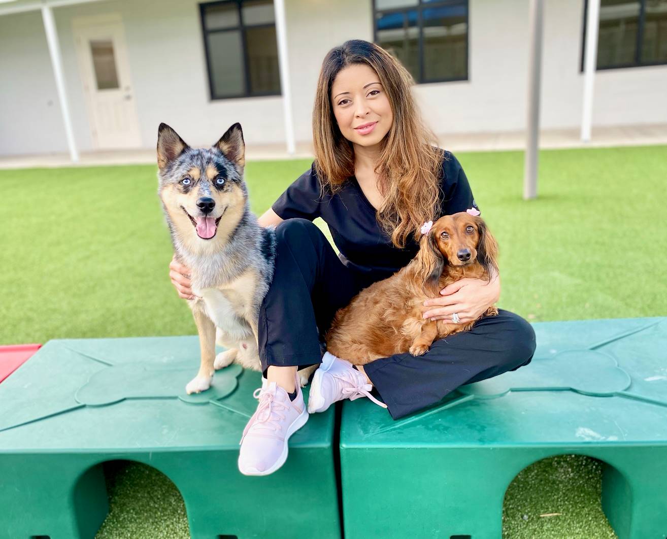 Lakewood Ranch Pet Boarding Pet Paradise