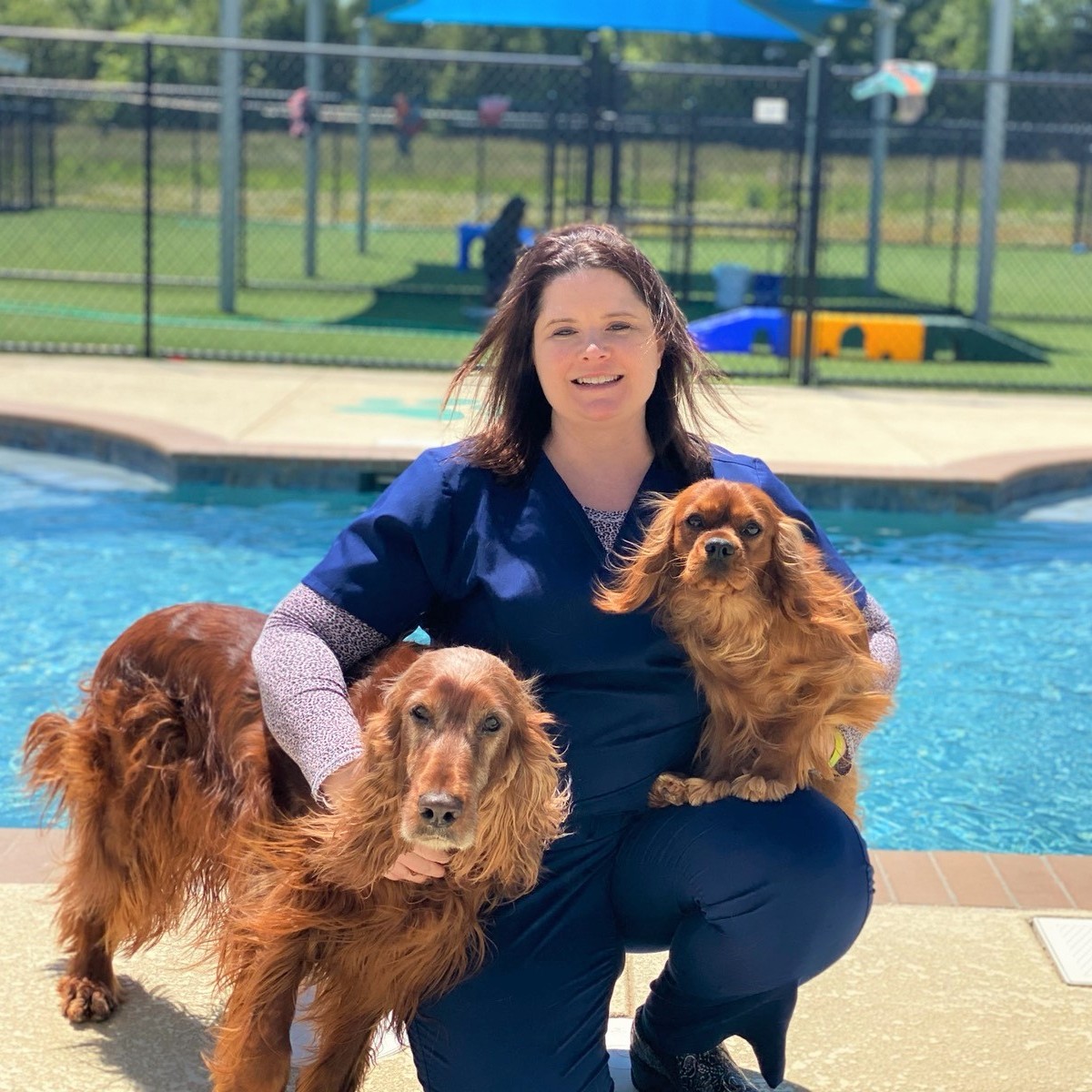 Mooresville Veterinary Clinic Vaccines, Routine Exams, Surgeries