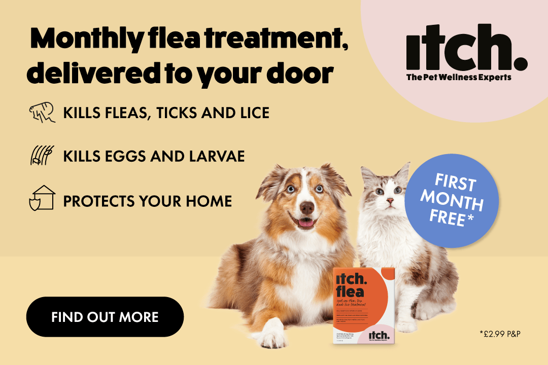 Free month of Itch flea treatment for pets