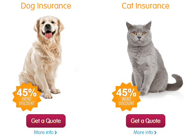Pet Insurance 45 discount cover