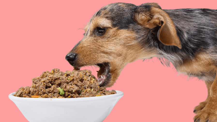 Tuggs Dog Food Discount Code