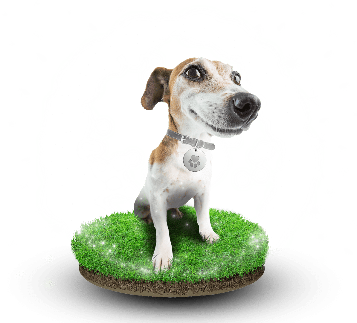 Pet Protector Pet Protector Flea & tick tag Flea Prevention 4