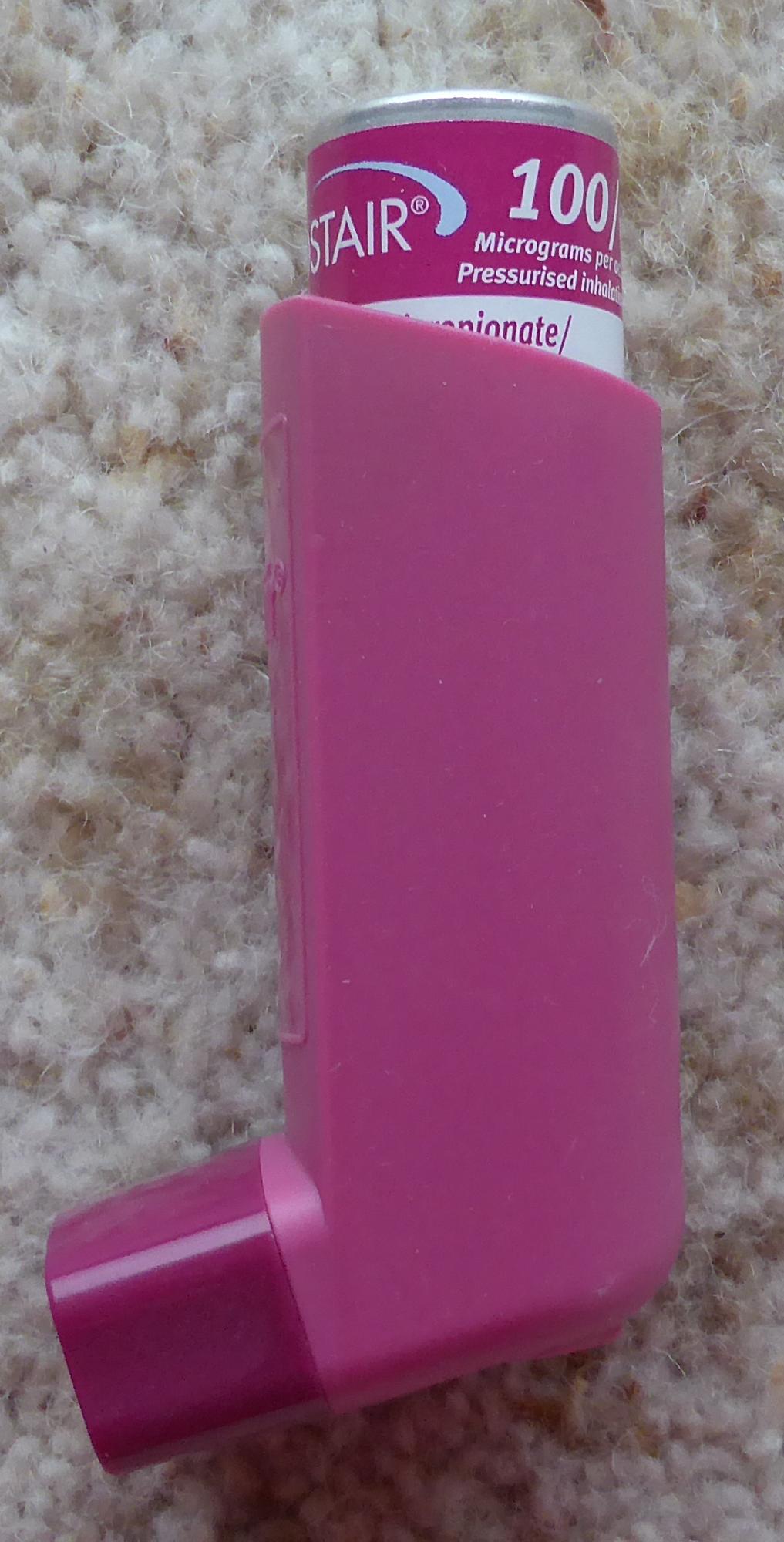 Allergies My Rabbit Family Blog