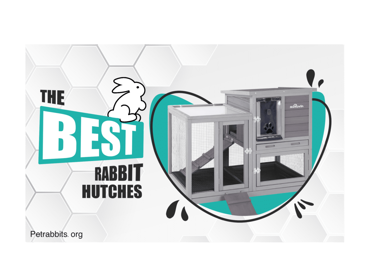 The Best Rabbit Hutches Indoor & Outdoor