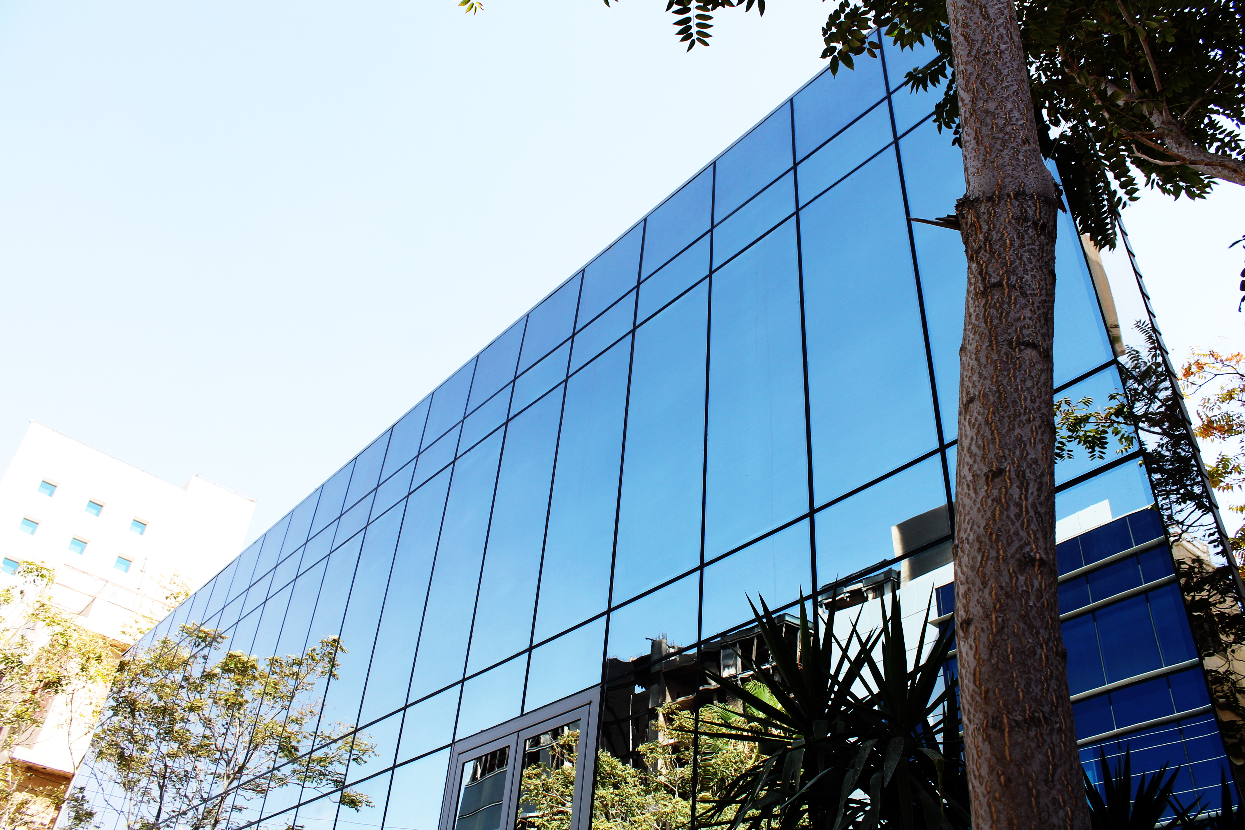 CURTAIN WALL Petra Aluminium