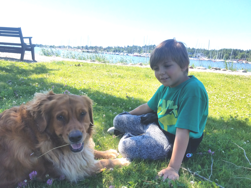 Pet Shipping Spotlight Transporting Five Pets to Sweden PetRelocation