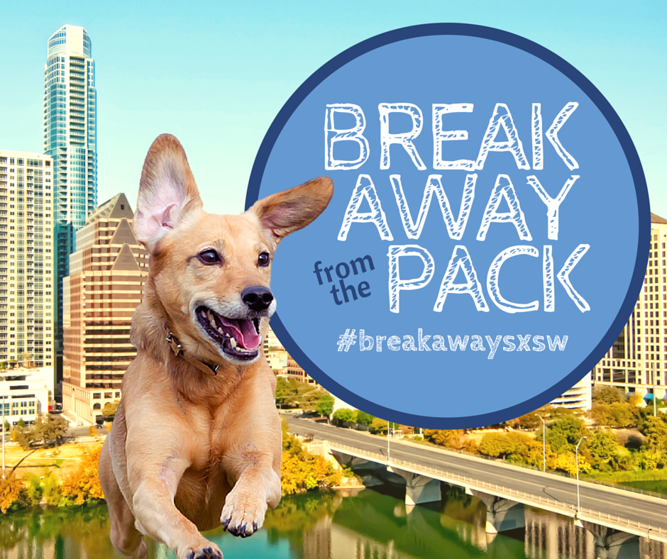 SXSW 2016 Break Away From The Pack with PetRelocation! PetRelocation