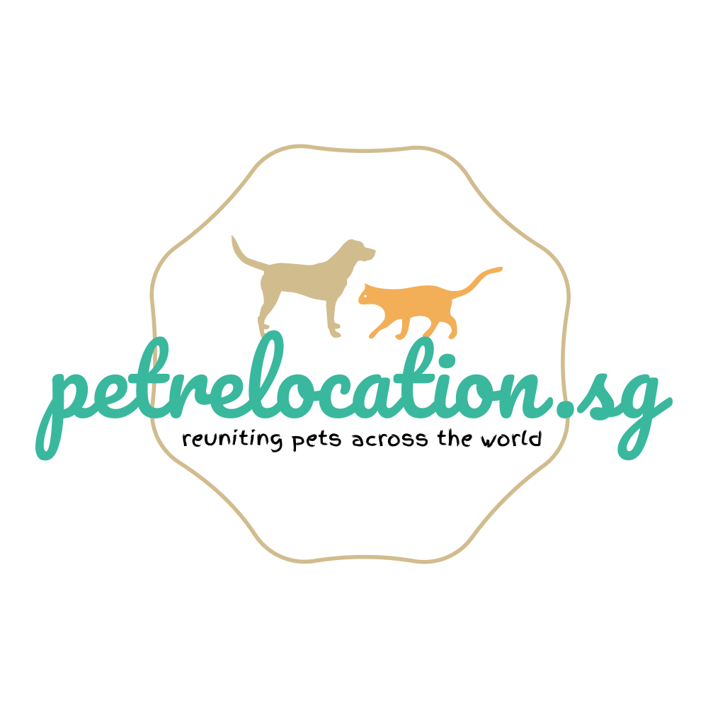 About Us Pet Relocation Singapore