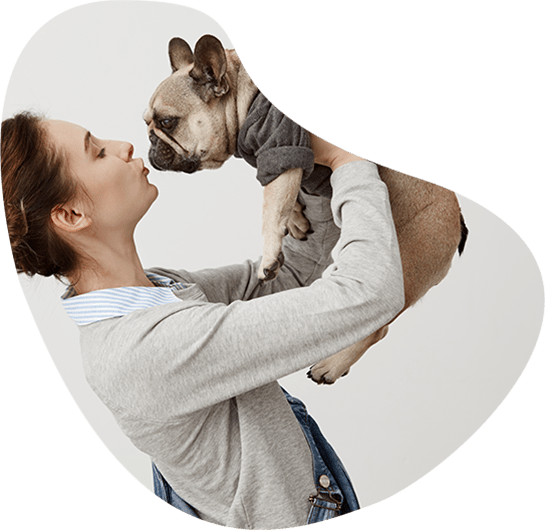 About Us Pet Relocation Singapore
