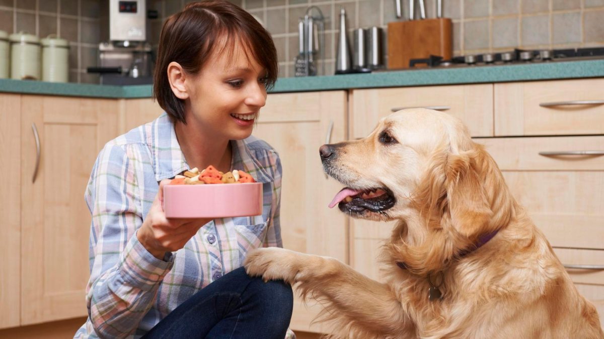 What Can Dogs Not Eat? 13 Prohibited Dog Foods