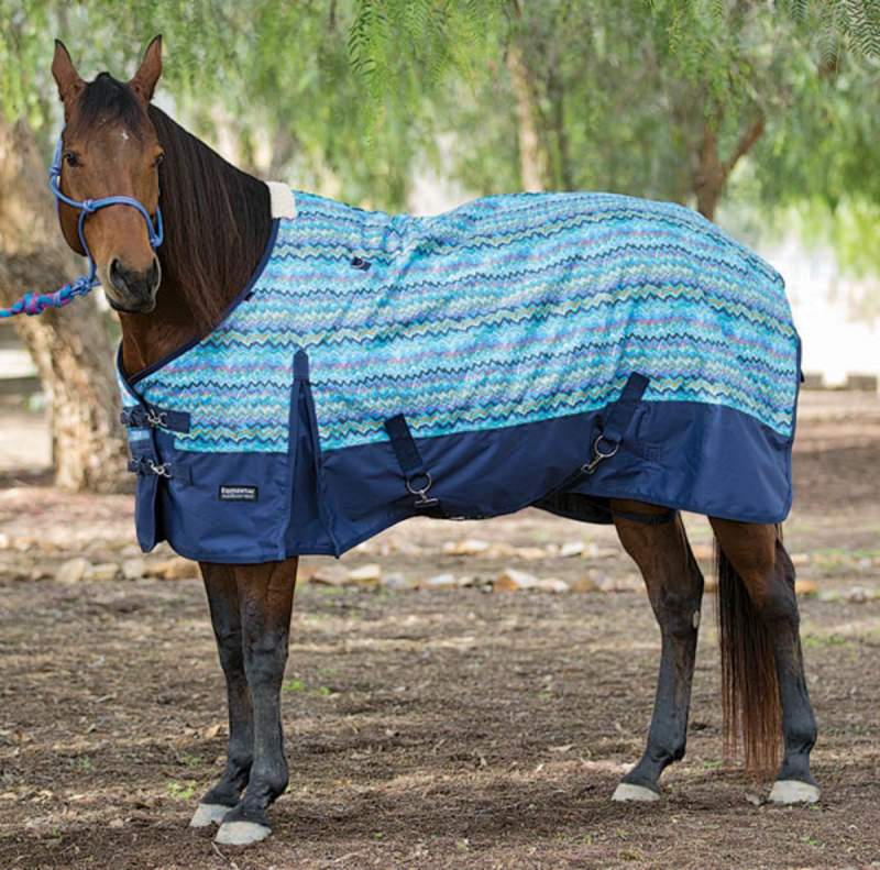 Horse blanket when it is useful for equine health Pet Rescue Blog