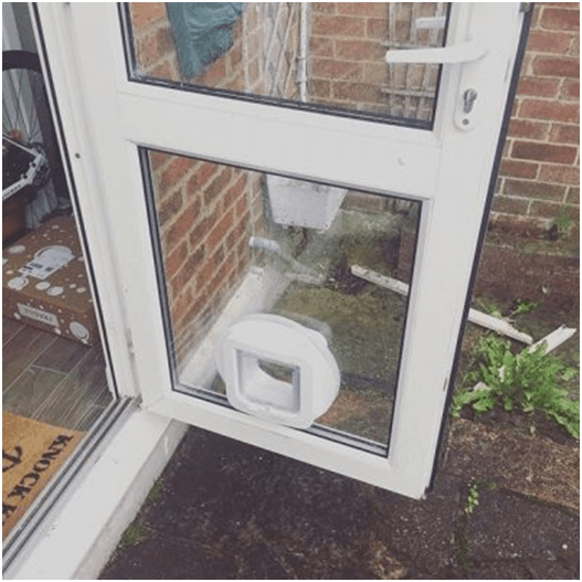Cat Flap Buying Guide Get The Best Cat Door For Your Pet Pet Resources