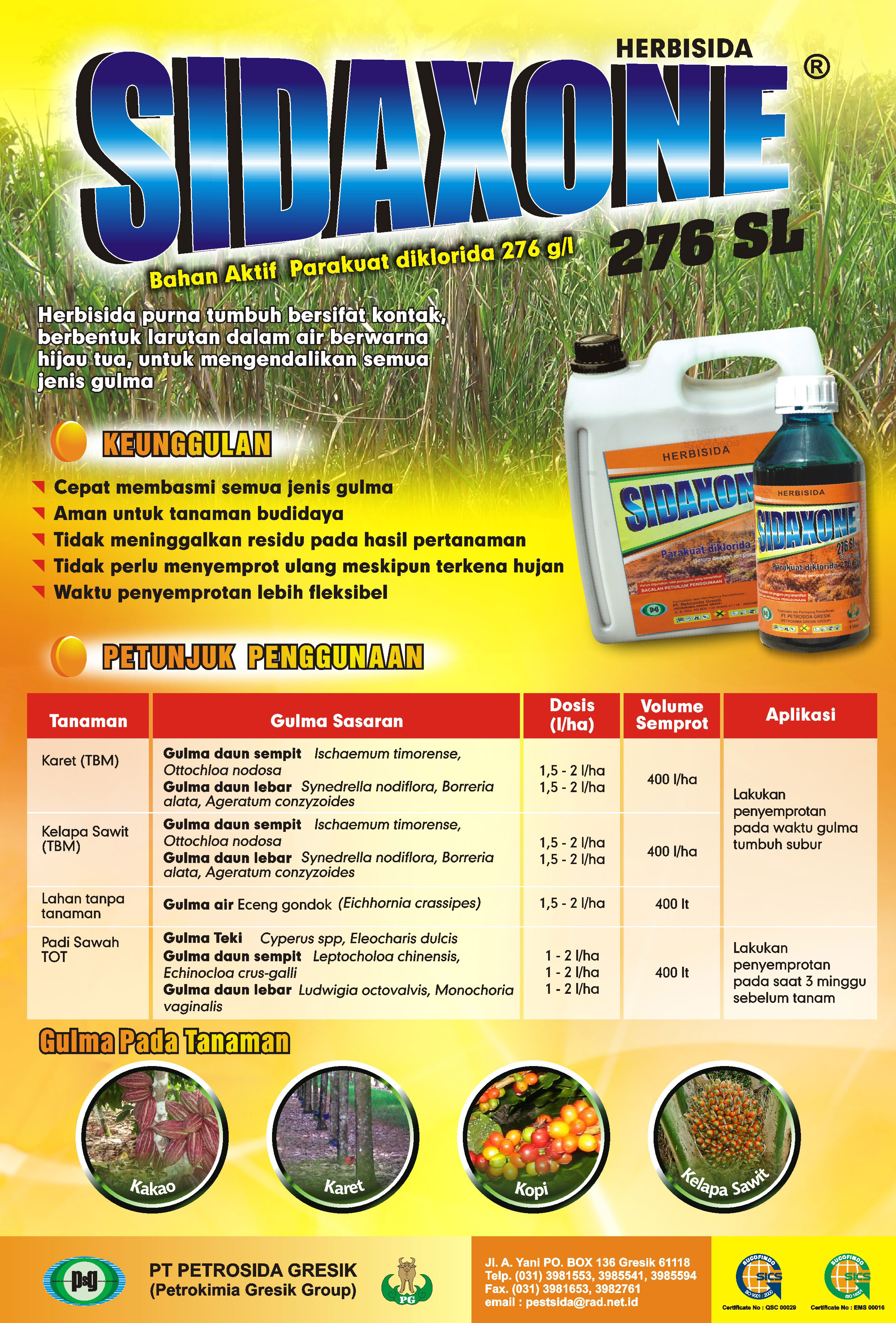 Jenis Ukuran Brosur Surge f