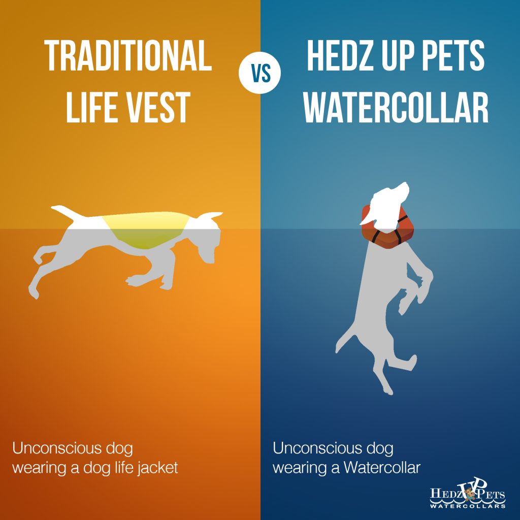 HEDZ UP Water Collars Pet Safety Crusader