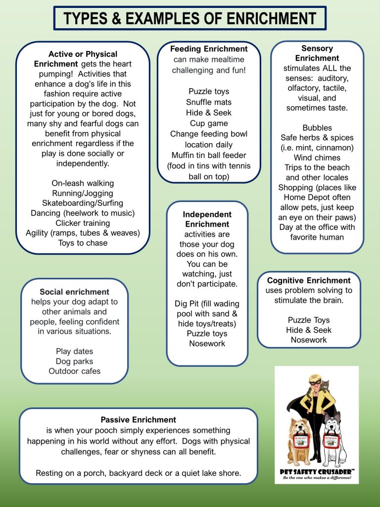 Types & Examples of Enrichment for Dogs Pet Safety Crusader