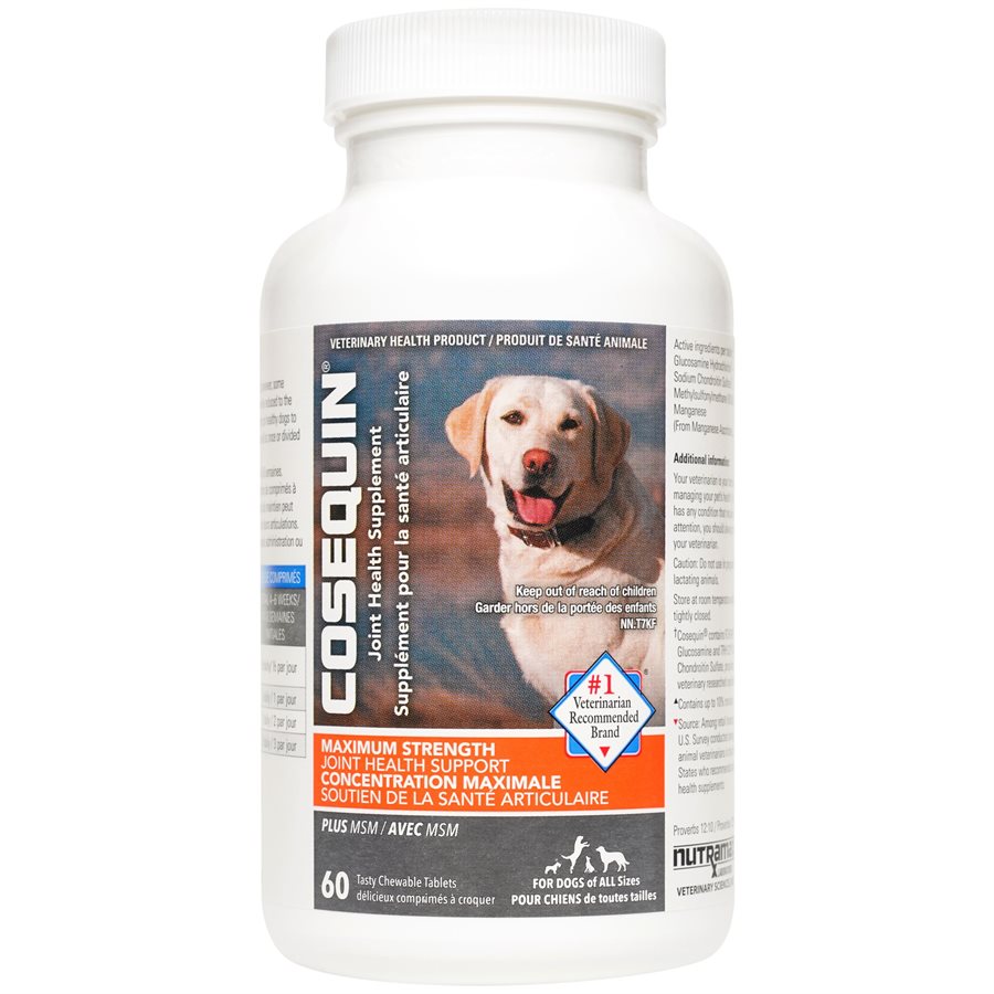 Nutramax Cosequin® Plus MSM Joint Supplement for Dogs 60 Count Chewable