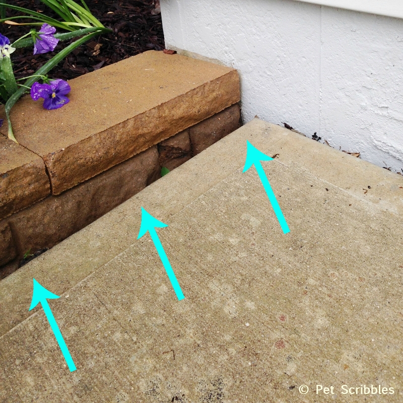 Sinking concrete? Lift it with Mudjacking! Garden Sanity by Pet Scribbles
