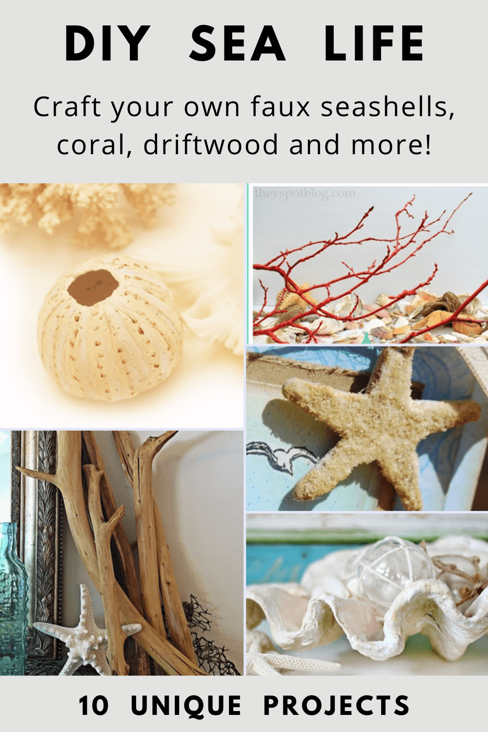 DIY Sea Life 10 Easy Ways to Make Faux Seashells, Coral, Driftwood and