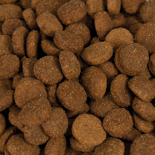 Dry Kibbles Malaysia Dry Dog Food suppliers & manufacturers