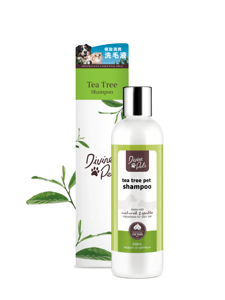 Divine Pets Tea Tree Shampoo 250ml PetShack Limited