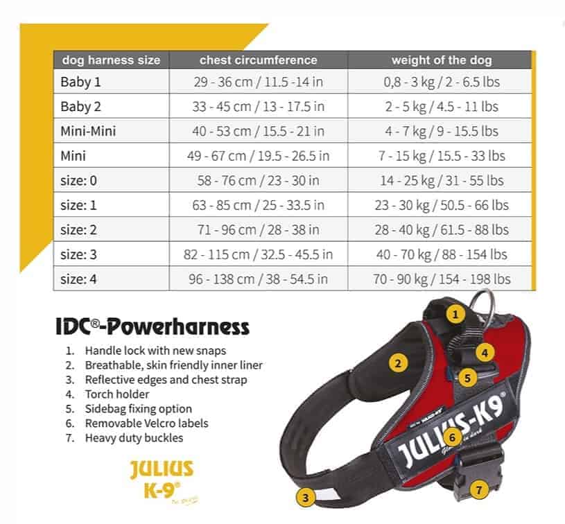 JuliusK9 IDC Power Dog Puppy Design Harness Adjustable
