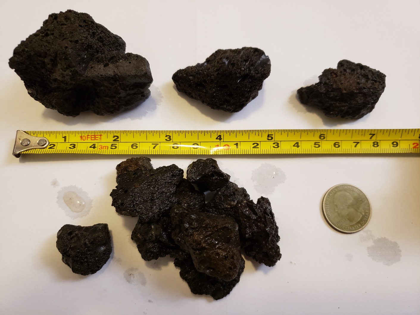 Black Lava Rocks (hand picked and rinsed) Petshrimp