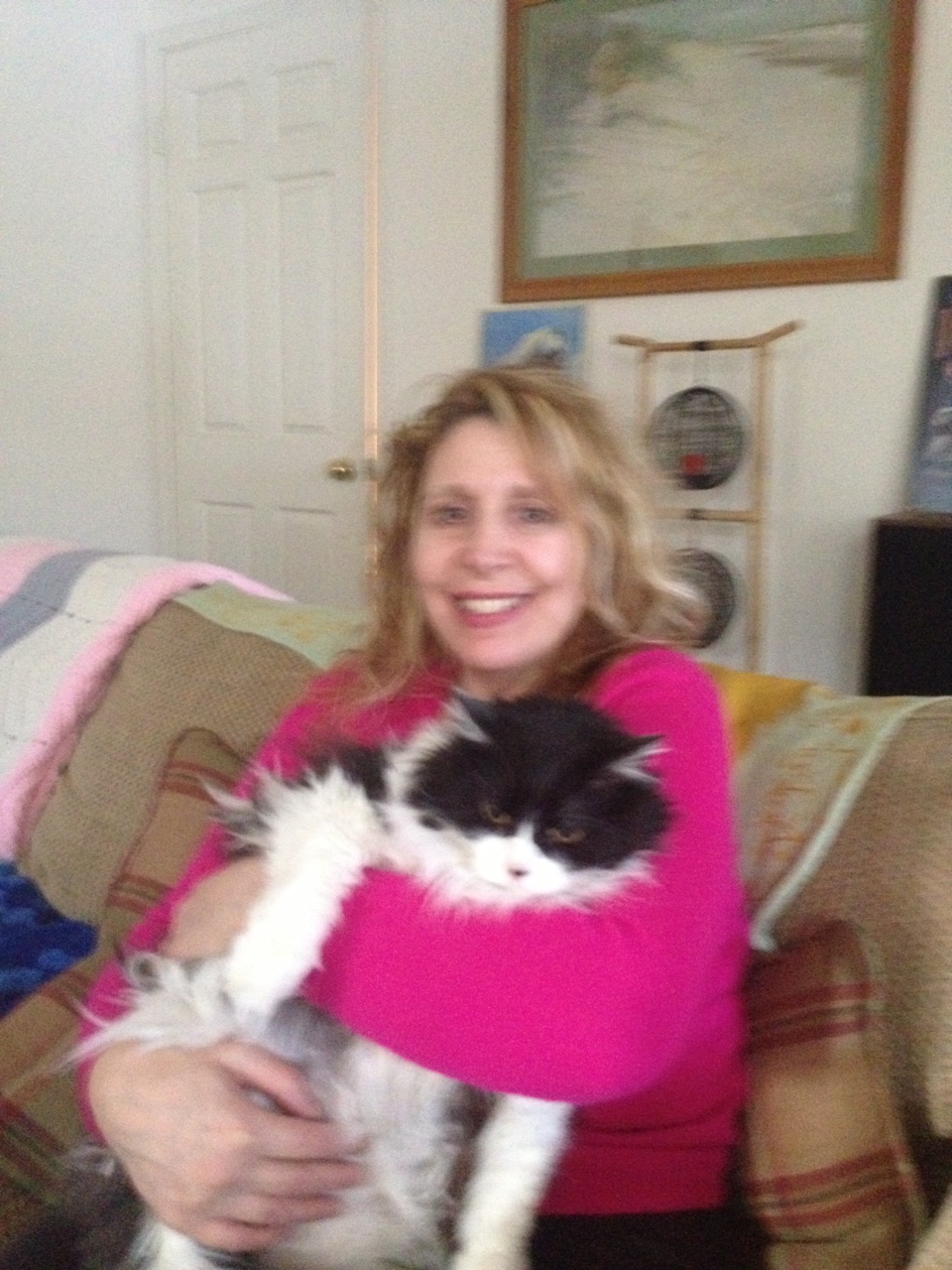 Wagging Tails Pet Sitters / Dog Walkers