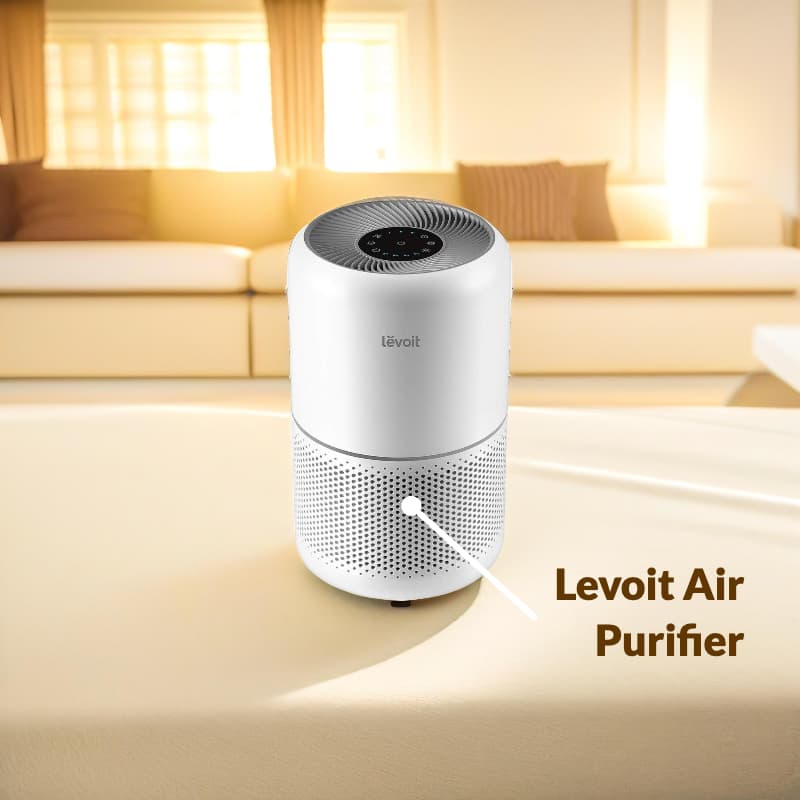 Best Air Purifier for Bird Owners Safely Remove Bird Dander