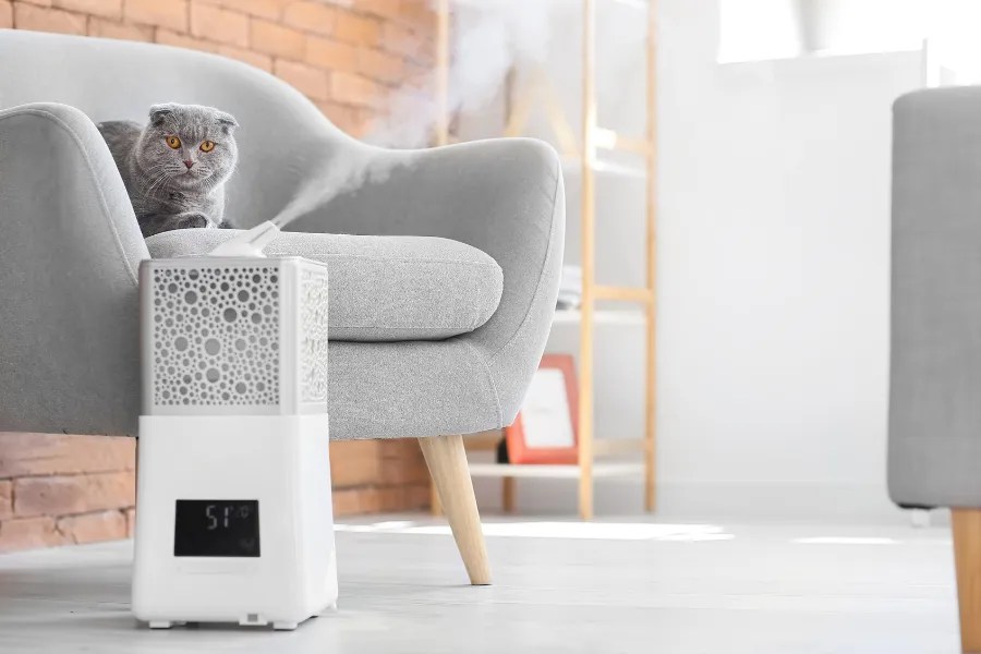 What Are The Best Humidifiers For Cats? Are They Safe For Felines?
