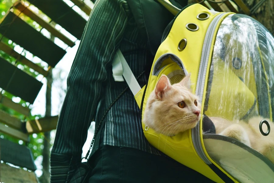 Carrying Cat In Backpack 5 Top Backpacks In 2023