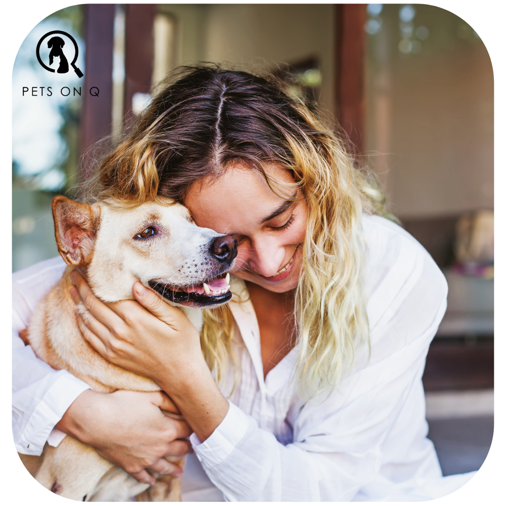 Booking Platform 101 — Why Use Pets on Q