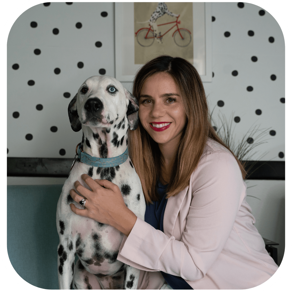 Know More About Us Pets on Q