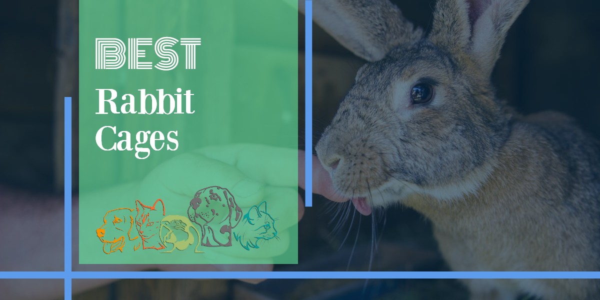 The 5 Top Rabbit Cages [2021 Review]