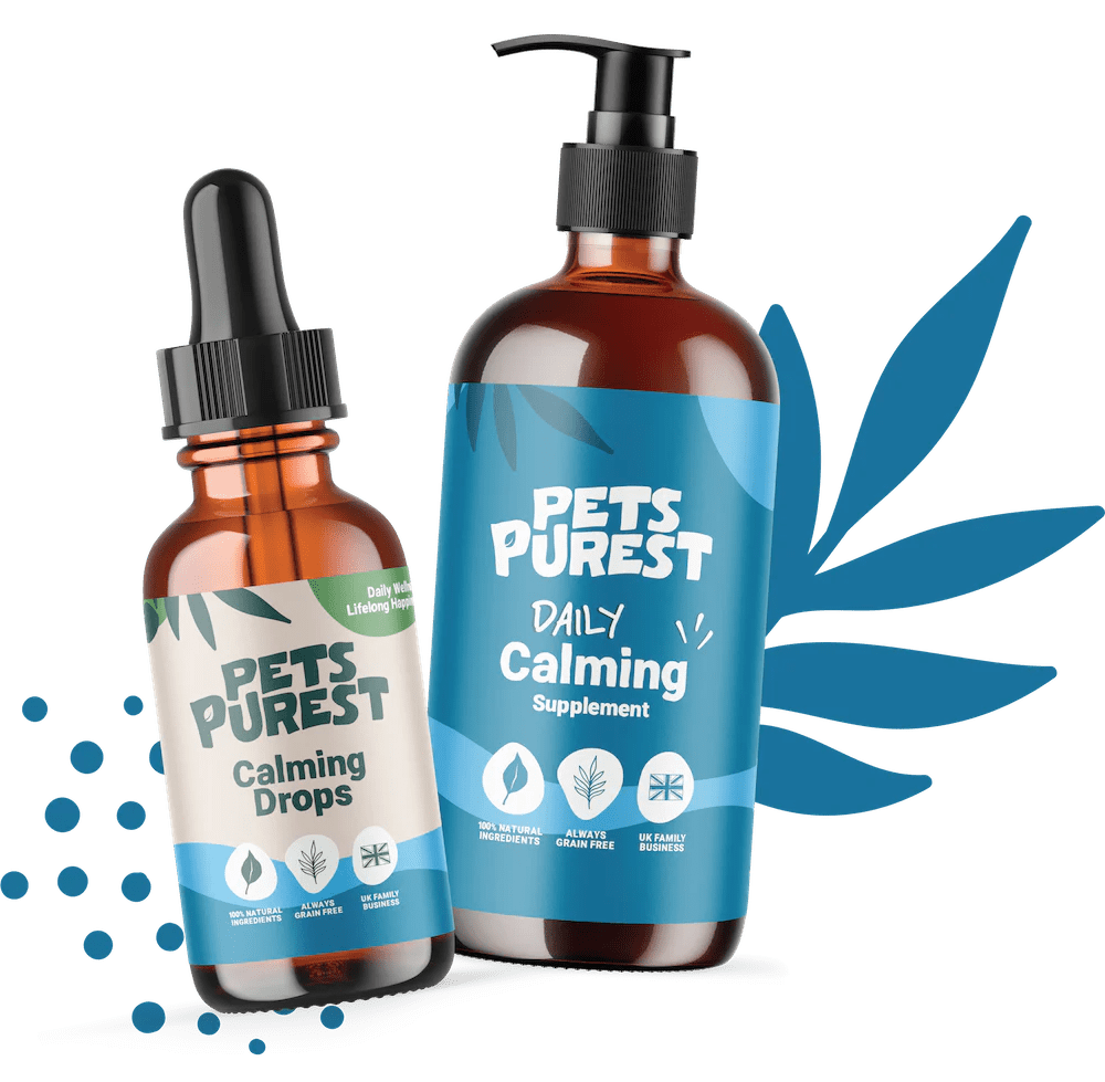 Calming Dog Treats Calming Supplements for Dogs