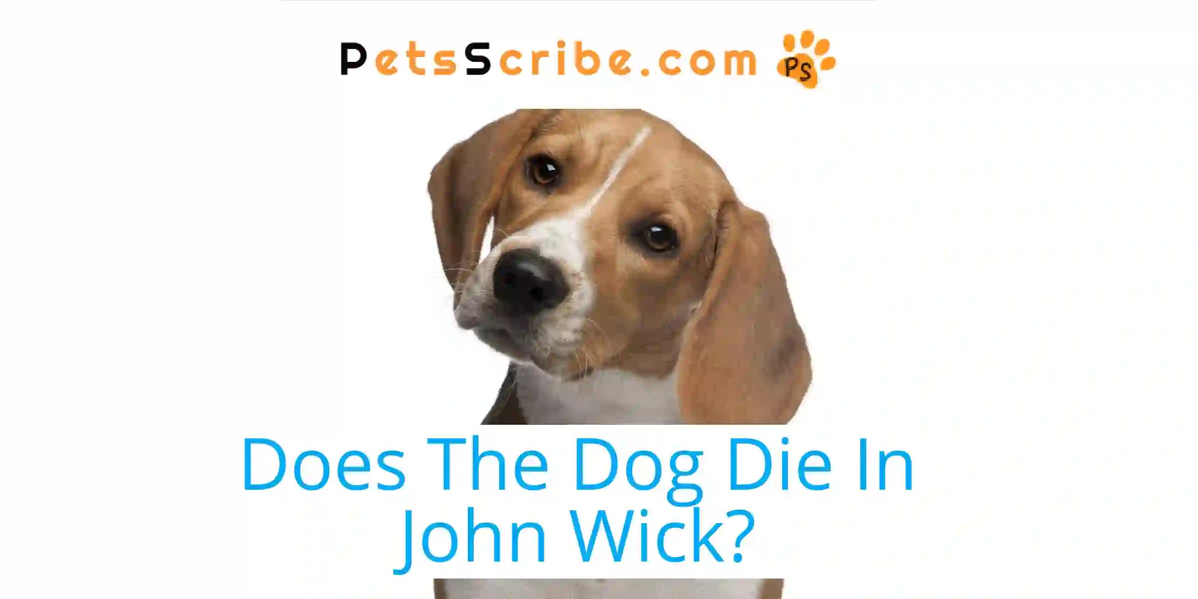 Does The Dog Die In John Wick? Pets Scribe