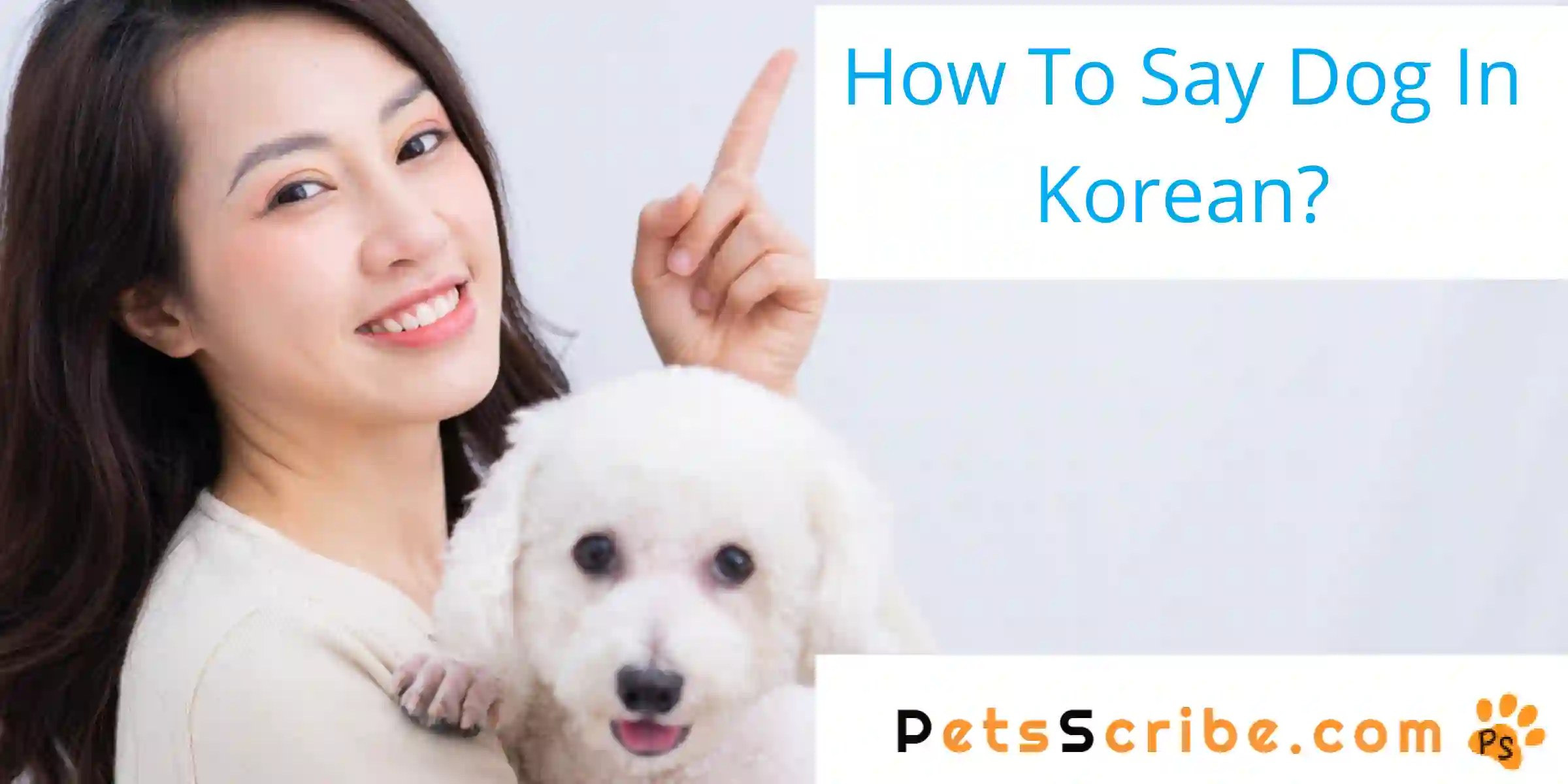 How To Say Dog In Korean? Pets Scribe