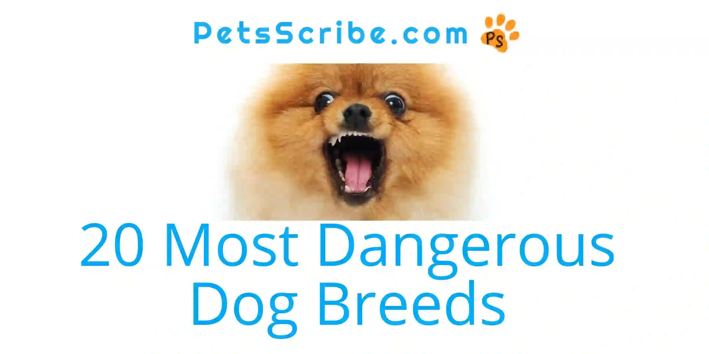 The Top 20 Most Dangerous Dog Breeds In The World In 2023 Pets Scribe