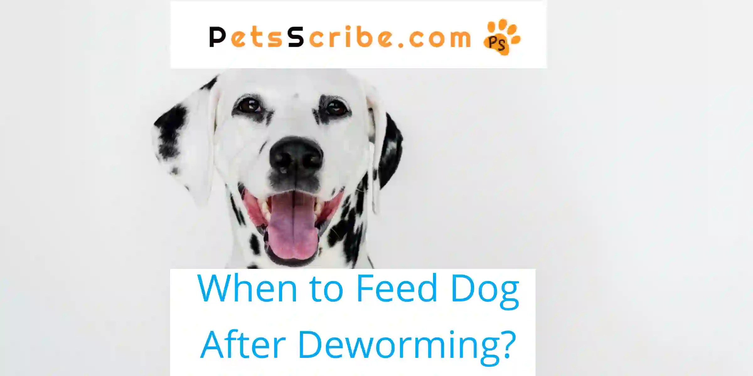 When To Feed Dog After Deworming? Pets Scribe