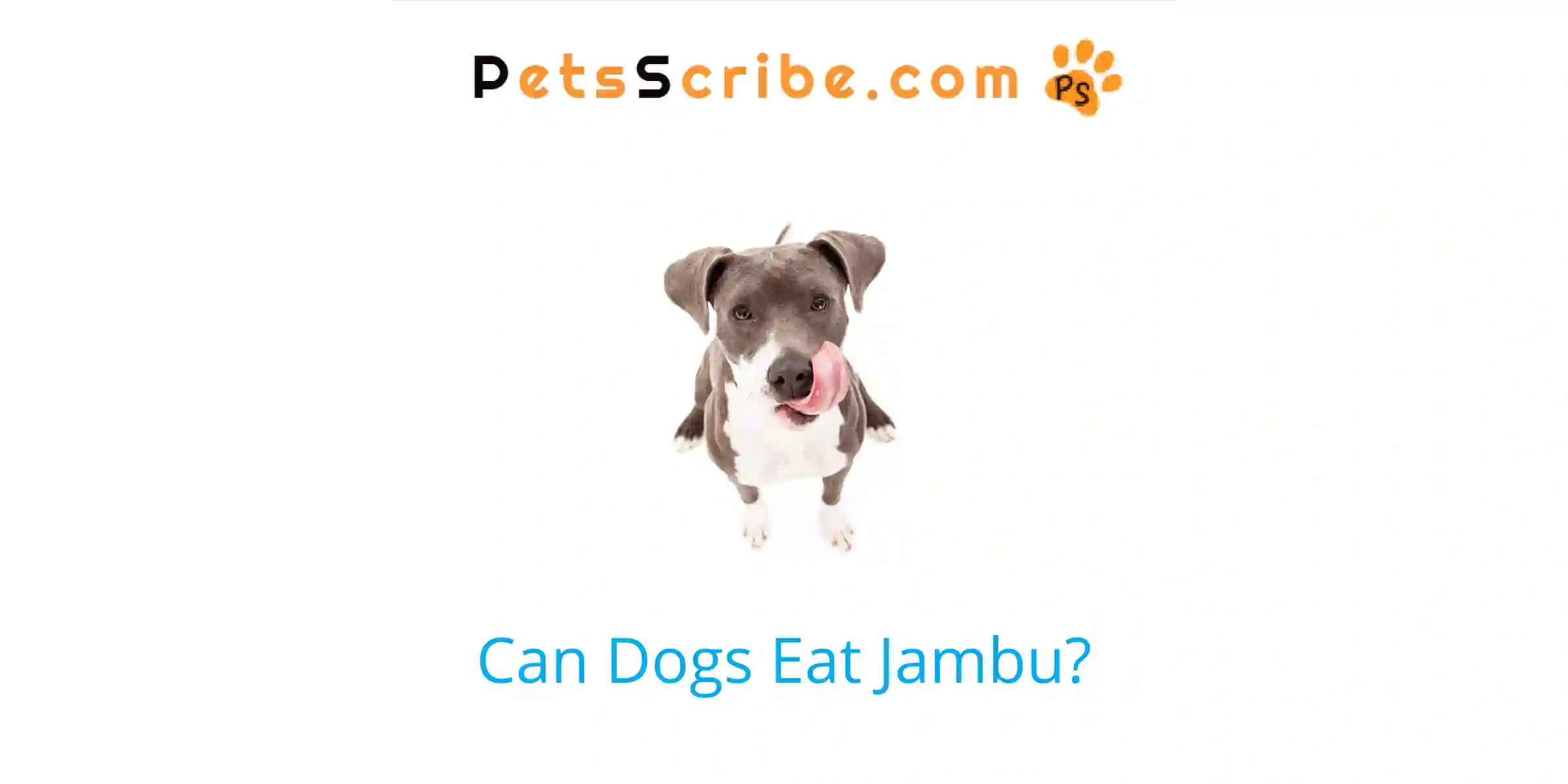 Can Dogs Eat Jambu? Pets Scribe