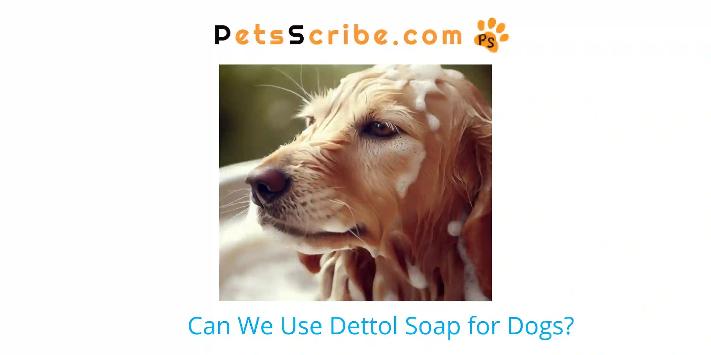 Can We Use Dettol Soap For Dogs? Pets Scribe