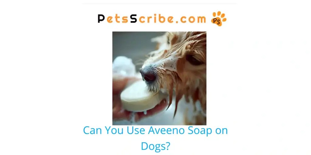 Can You Use Aveeno Soap On Dogs? Pets Scribe