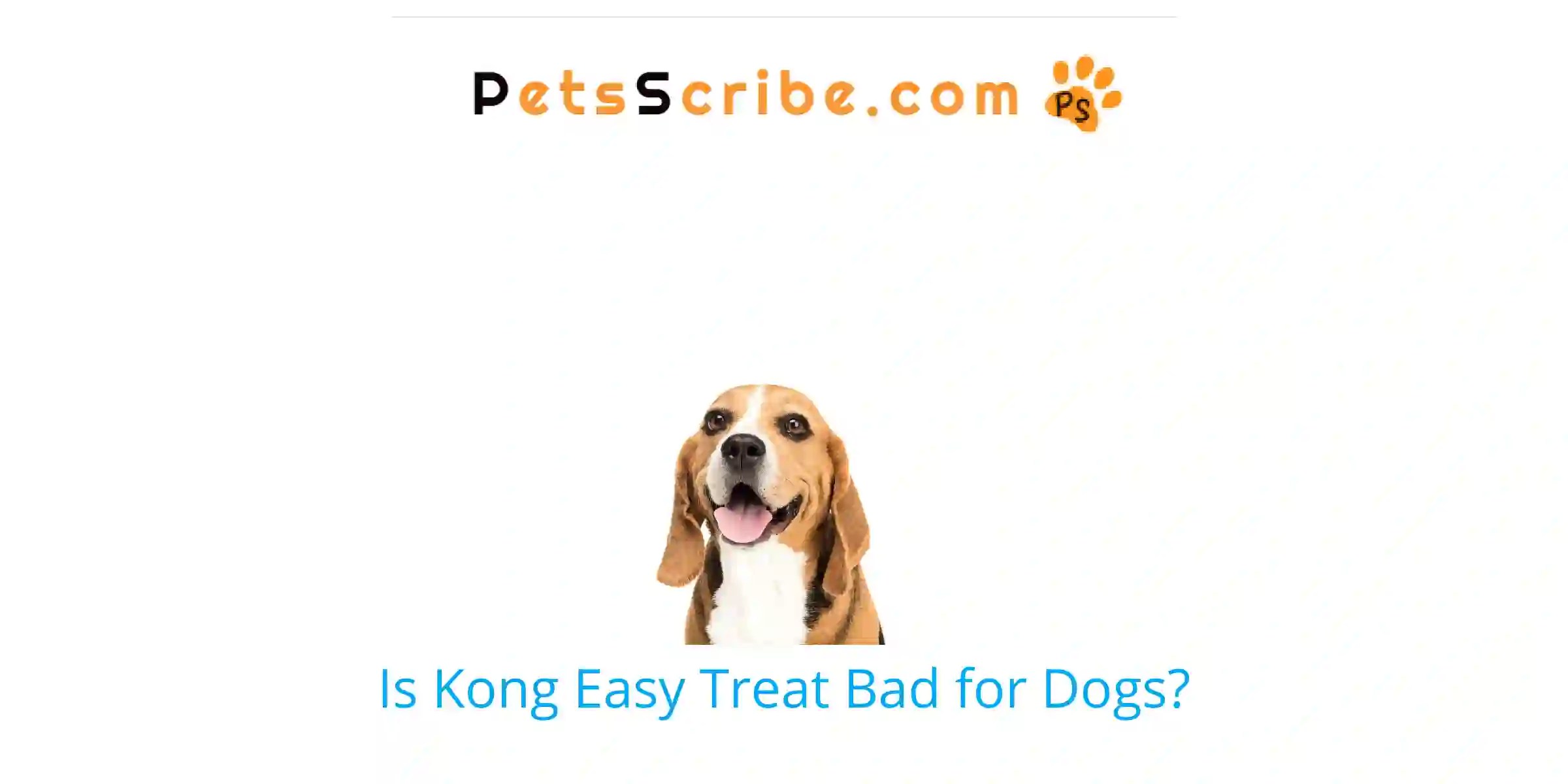 Is Kong Easy Treat Bad For Dogs? Pets Scribe