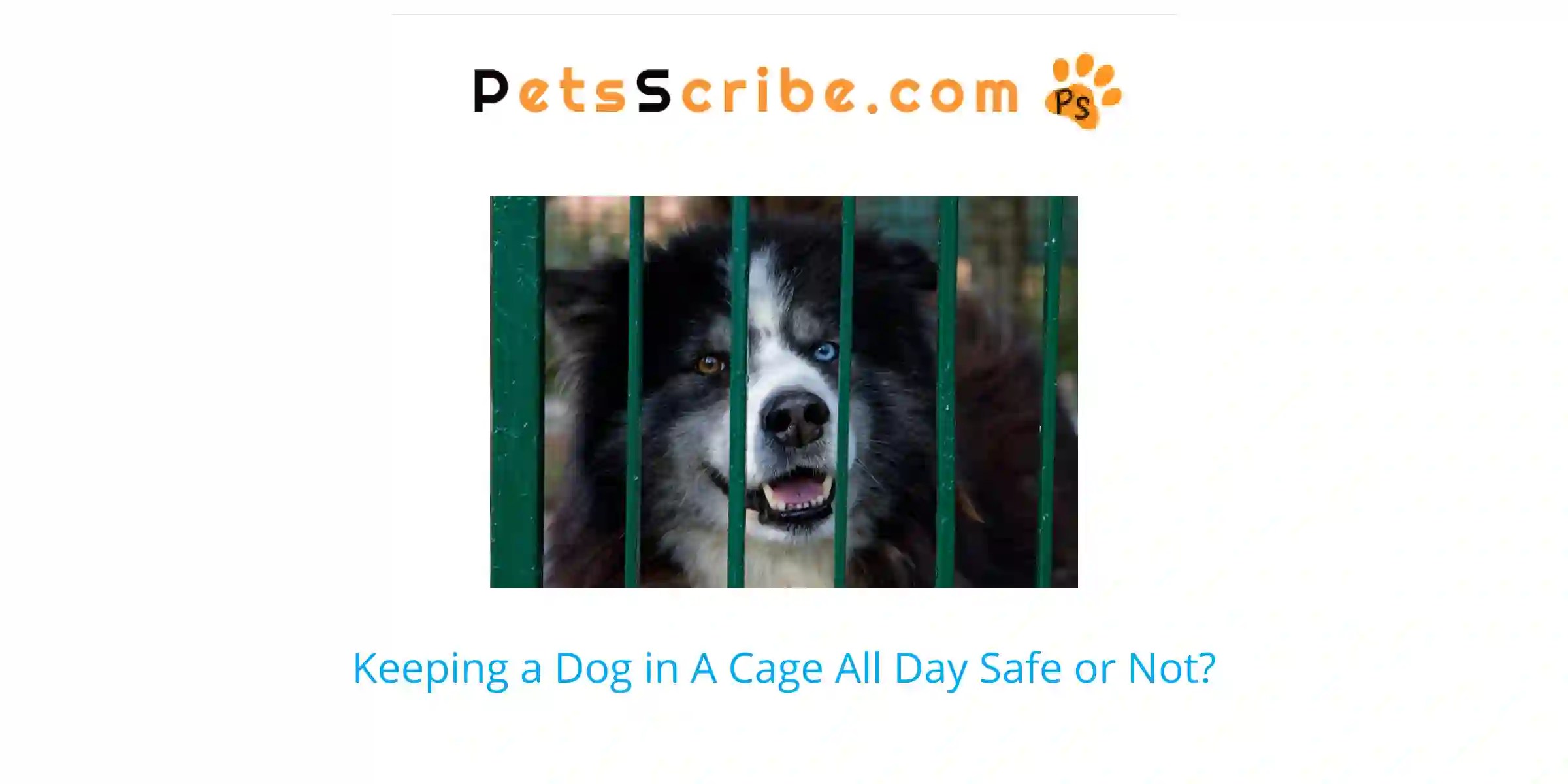 Keeping A Dog In A Cage All Day Safe Or Not? Pets Scribe