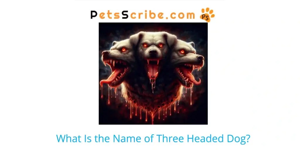 Name Of Three Headed Dog? Pets Scribe