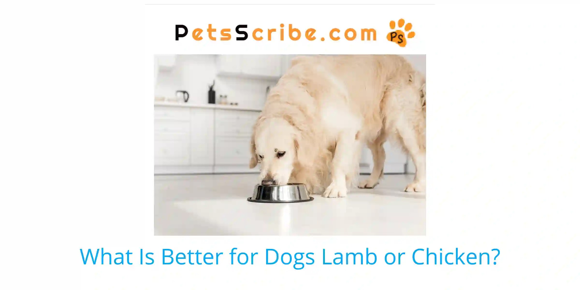 What Is Better For Dogs Lamb Or Chicken? Pets Scribe